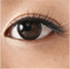 �N�K���}���X